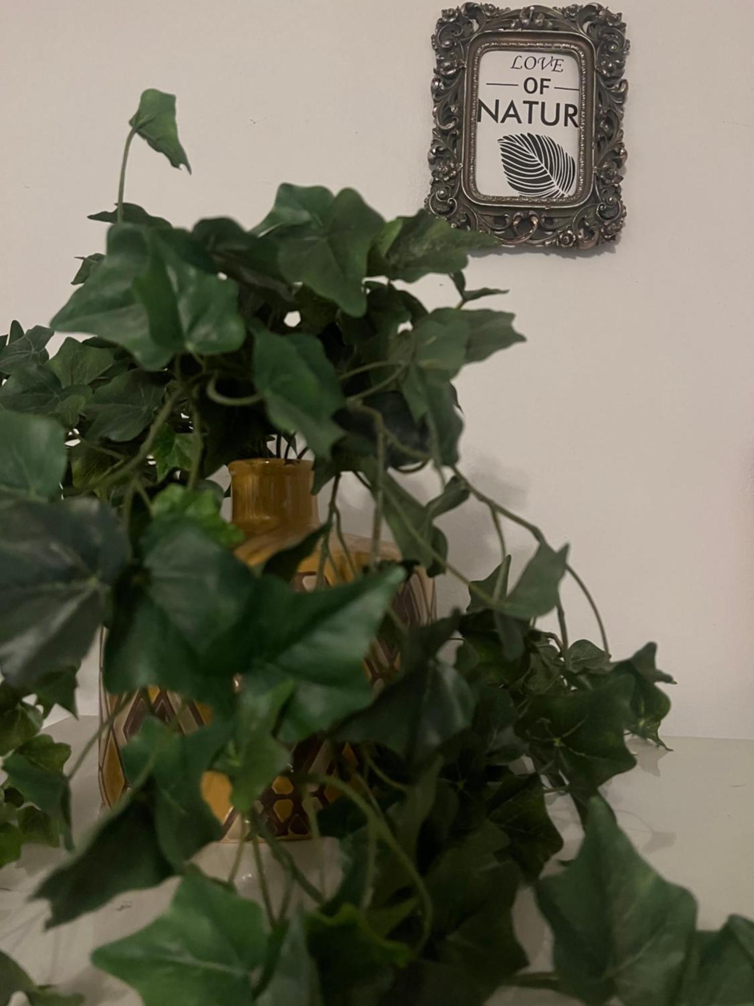 Lamda Vintage Appartment Athen Eksteriør bilde